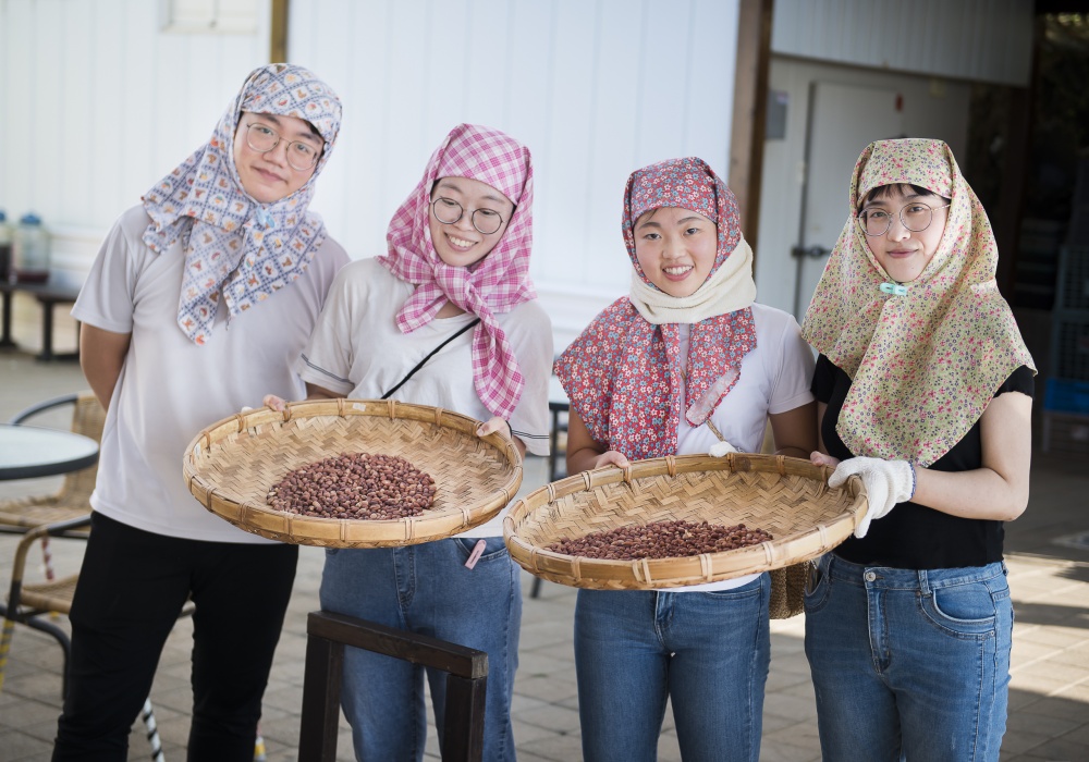 看見南寮　一場澎湖農村文化復興運動