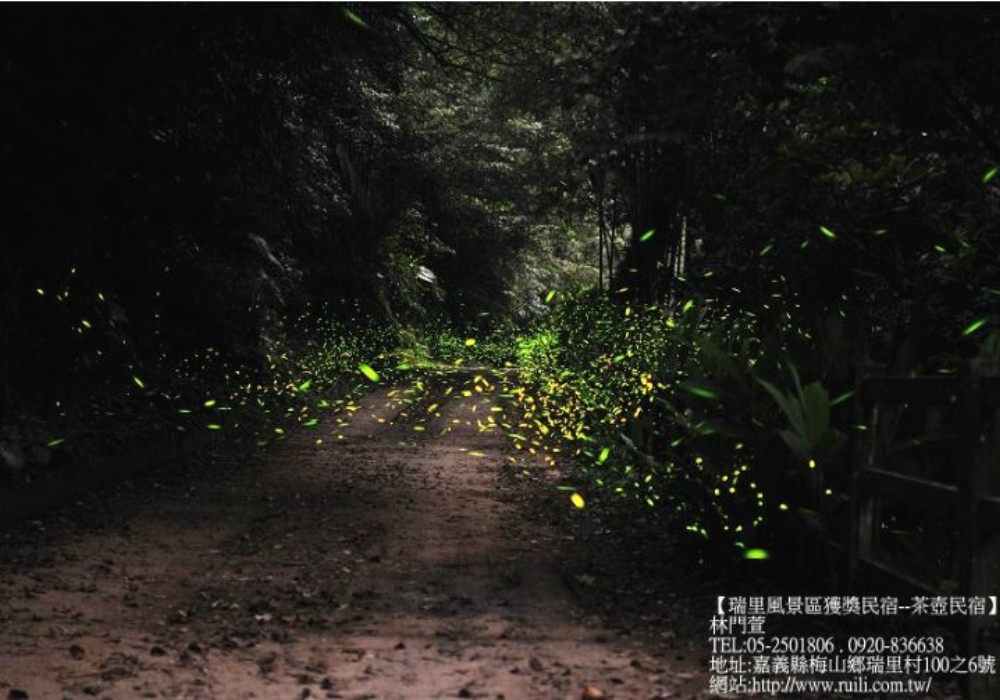 【MUJO趴趴走】嘉義阿里山茶之道北道心旅遊(媒體採訪團):瑞里風景區B夜遊36彎&紫藤花&夜間賞螢美麗傳說.得獎阿漢的家民宿（原瑞勝渡假村）.背包客天堂!!