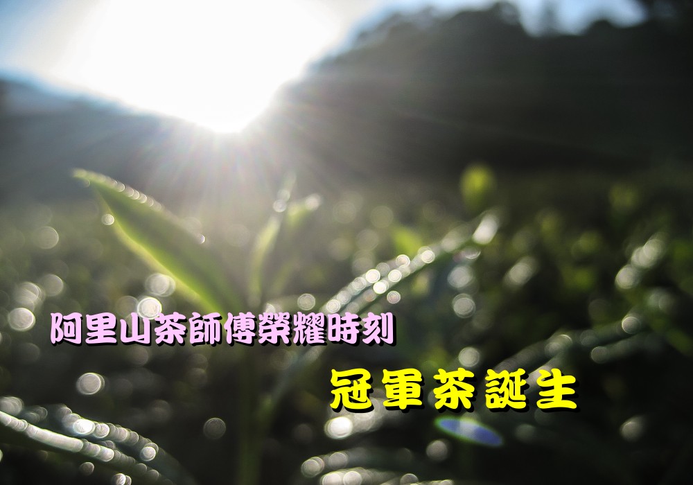 【MUJO趴趴走--國內旅遊】嘉義縣阿里山亮點心旅遊(媒體採訪團):台灣阿里山製茶師傅榮耀時刻!!冠軍茶誕生幕後評審.及如何選購