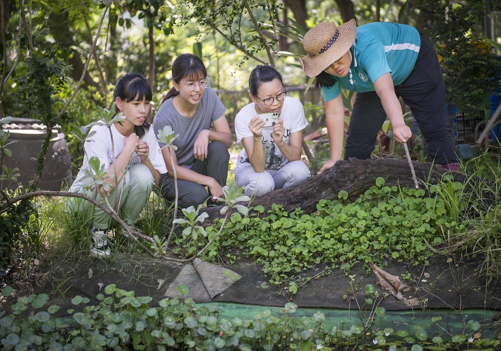 一顆種子，成就一片森林