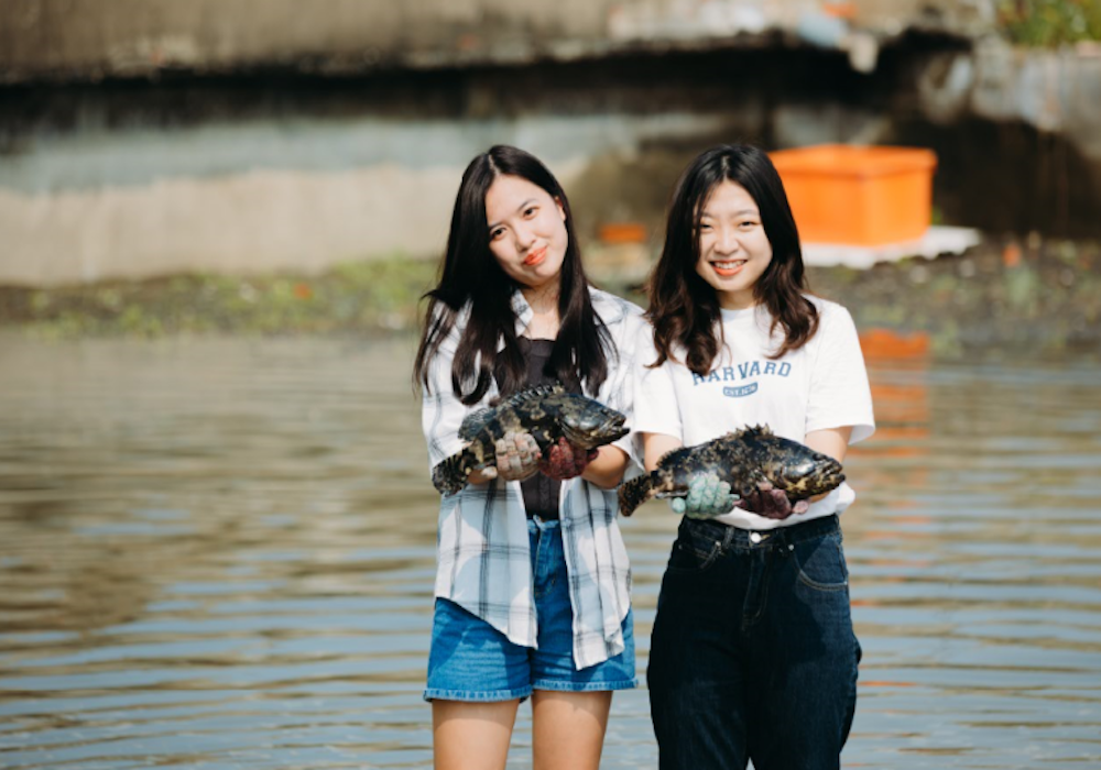 激起翻轉水花，體驗漁村文化創生的無限活力