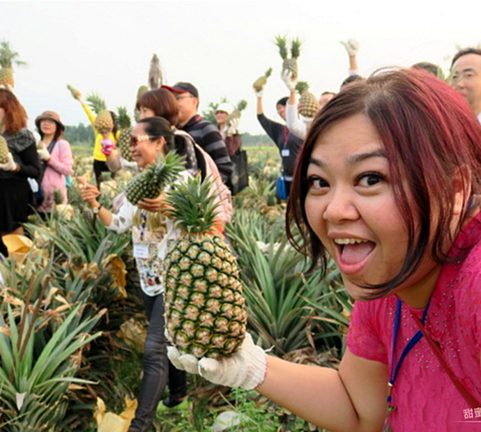 台東必玩景點【漂鳥197 縱谷大地藝術季】池上一日遊～網美最愛天堂鞦韆/台東IG打卡不能錯過/2019台東秘境！