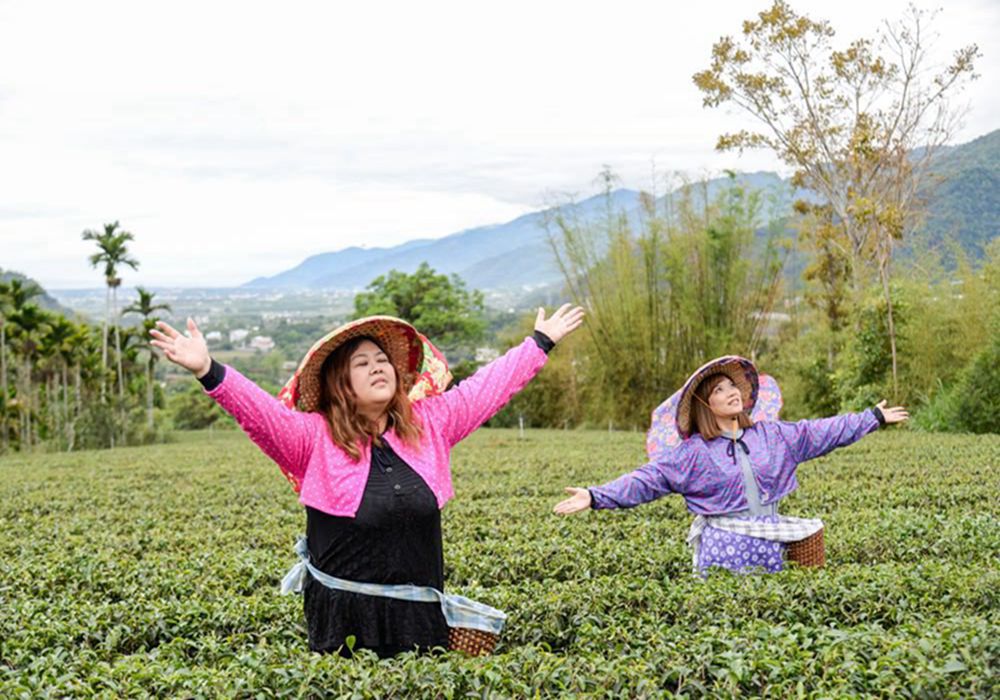 【來趣台東小旅行】縱谷茶鄉玩味體驗 x 日租機車 (雙人同行)