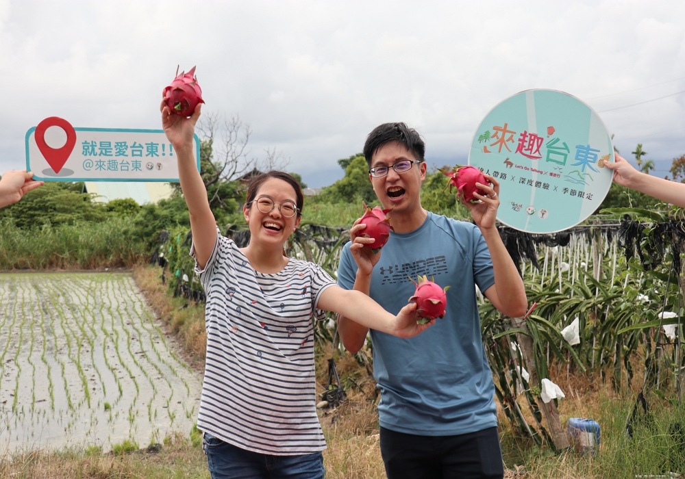 【來台東 ∣ 大顯身手屠龍趣  feat.火龍果採果體驗】