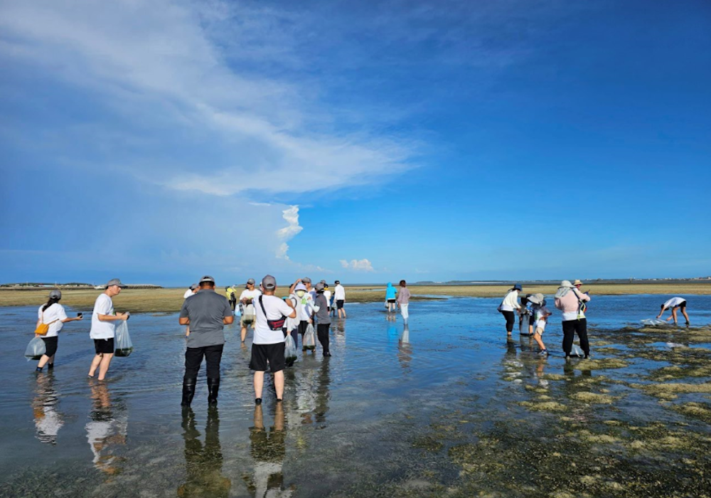 【澎湖。白沙鄉】潮間帶旁的聚落，港子人文與生態之旅