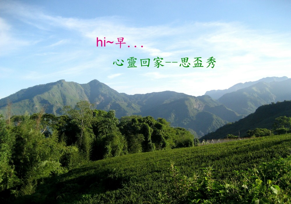 【MUJO趴趴走--國內旅遊】鄒遊阿里山私訪秘境.2天1夜(第2日天)山美部落遊記