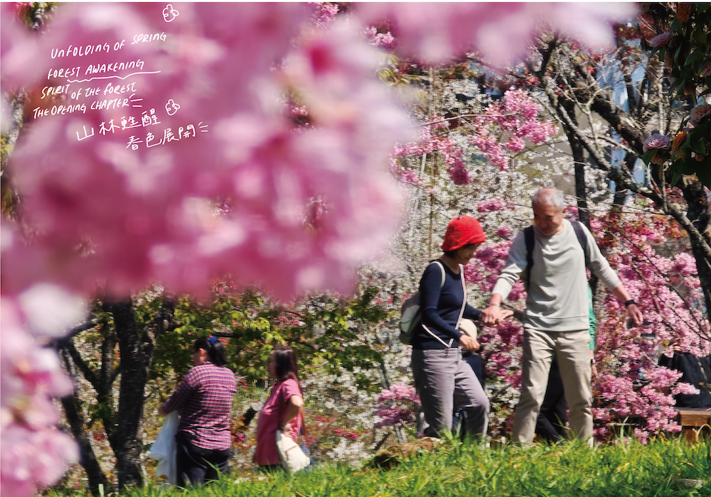 2026 阿里山風格季 春櫻、神獸、面具派對，開啟奇幻風格森旅