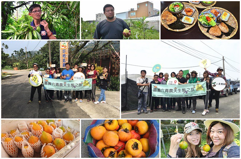 ❤️嘉義農夫生態之旅❤️立岱有機農園/農夫冰/阿舍果園/好柿抵嘉：走訪青年回留農村創新的友善耕作小農，體驗無毒蔬菜、採棗子柿子、柿染DIY，一日小農樂趣多!!