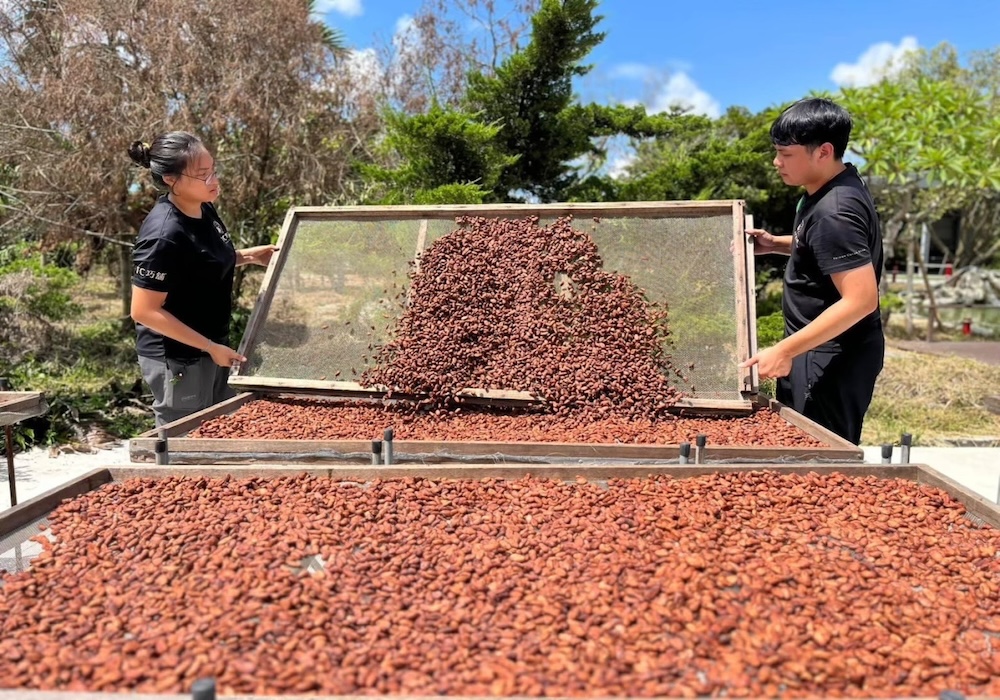 從產地到餐桌的可可美學｜有限責任屏東縣南國天物運銷合作社