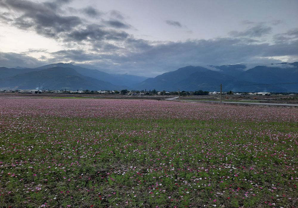 【鹿野鄉x瑞源村】 源離塵囂，一個人的山水有相逢