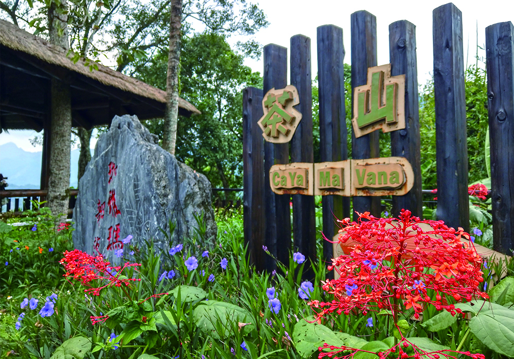 【旅遊/體驗 】茶山部落-農事體驗