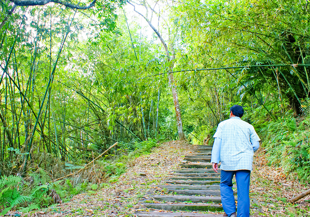 【卑南鄉x溫泉村】自由行，也能輕鬆享受一趟療癒身心靈的暖湯生態旅。