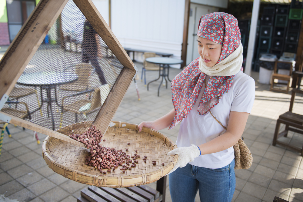 探訪海風吹拂的島嶼；以步伐、雙手、舌尖，感受南寮土地的滋味
