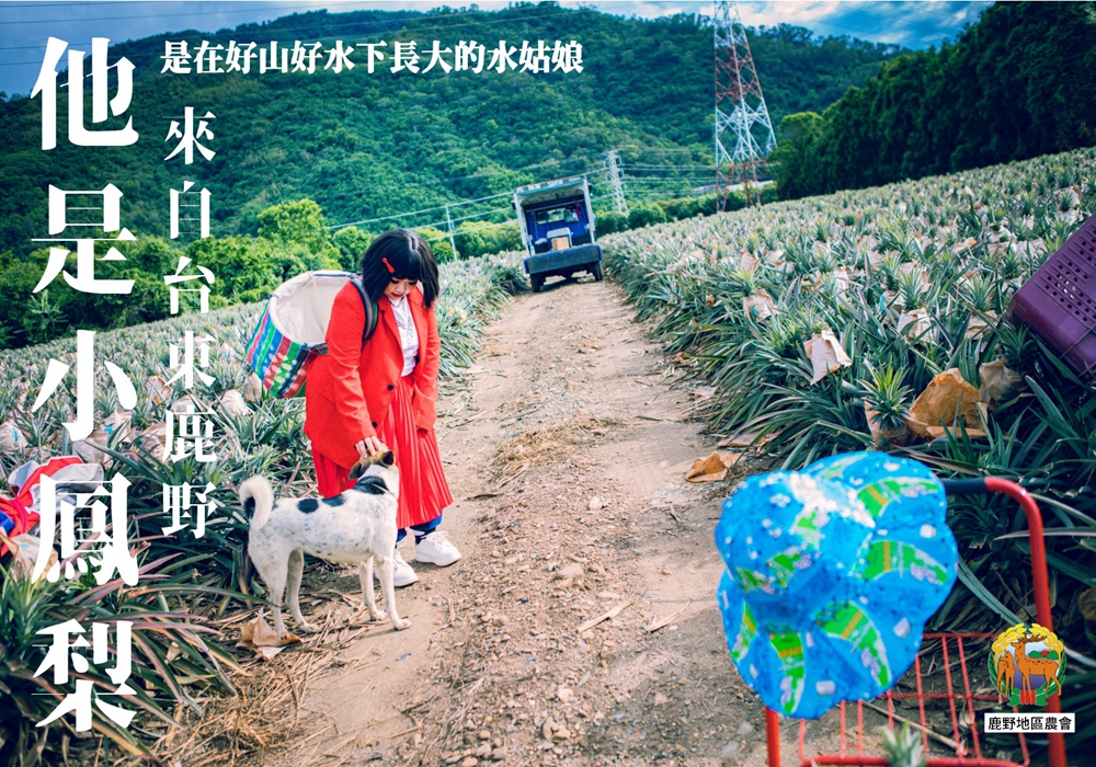 鹿野鳳梨尋找一個願意帶我回家的人