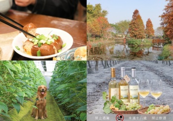 彰化農村這樣玩，7 條深度在地小旅行！經典彰化小農旅遊私房景點