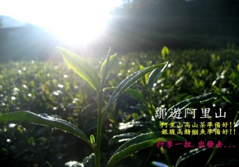 【MUJO趴趴走--國內旅遊】鄒遊阿里山私訪秘境．先來認識阿里山12村.文化特色.鄒族祭典.伴手禮.鄒族情歌...