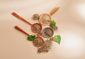 樂活社區的中草藥養生夢