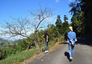 從種茶到製茶 親手揉捻，融入智慧與梅山在地的一切