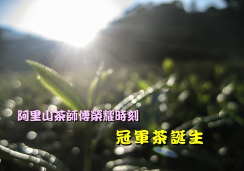 【MUJO趴趴走--國內旅遊】嘉義縣阿里山亮點心旅遊(媒體採訪團):台灣阿里山製茶師傅榮耀時刻!!冠軍茶誕生幕後評審.及如何選購