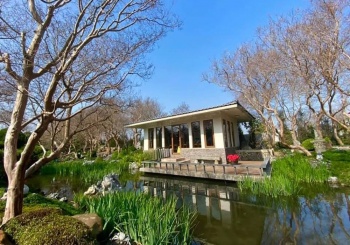 彰化田尾小鎮 獨一無二的花花世界，單車沿途賞無邊的各色美麗