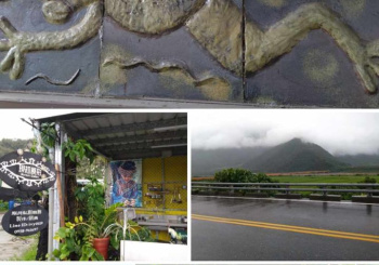 相聚在初來,一處美麗的桃花源