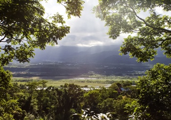 【延平鄉x鸞山村】跟著布農族人一起親近山林，穿梭在會走路的樹之中。