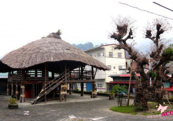 阿里山櫻花季旅遊懶人包～【鄒族 達邦部落】吃喝玩樂住宿全收錄(下)，嘉義旅遊/嘉義景點/阿里山旅遊/阿里山景點