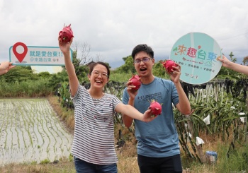 【來台東 ∣ 大顯身手屠龍趣  feat.火龍果採果體驗】