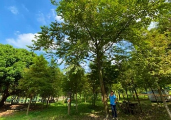 嘉義中埔的生態探索樂園 築夢森居，感受在山野裡的怡然自得