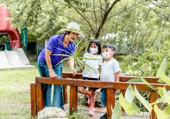 黃荊農村：一起走進黃荊的世界，開啟一場低碳又好玩的自然冒險！