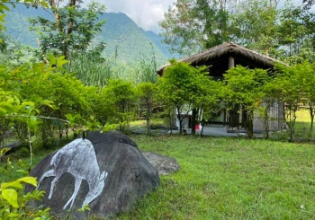 深入嘉義阿里山鄉最南端 茶山部落的涼亭文化，三個部族的共好之地