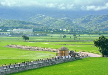 【池上鄉X大坡村】漫遊池上，口齒留香