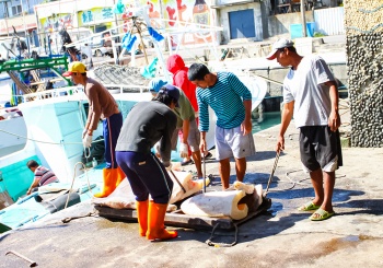【成功鎮x忠仁里】來到成功，怎能錯過最新鮮生猛的成功海味？