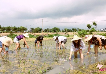 【哈嘎米商號 HakkaRice】台東冠軍米王食農教育～DIY彩繪斗笠＋插秧農事體驗，一日農夫農村小旅行，親子旅遊推薦！台東旅遊/台東半日遊/台東景點