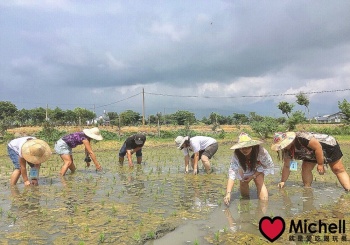 ❤️台東旅遊❤️哈嘎米商號 HakkaRice，DIY彩繪斗笠＋插秧農事體驗，一日農夫農村小旅行!! CP 值爆高，全家大小玩得愉快又愜意！！