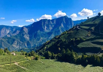 漫步嘉義瑞峰太和 竹坑溪步道賞龍宮瀑布，坐看茶園喝慢茶