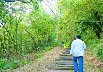 【卑南鄉x溫泉村】自由行，也能輕鬆享受一趟療癒身心靈的暖湯生態旅。