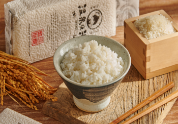 【屏東。四重溪】四重溪的田園詩意與鄉間風光