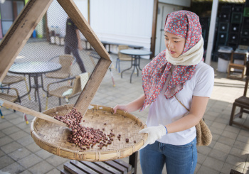 探訪海風吹拂的島嶼；以步伐、雙手、舌尖，感受南寮土地的滋味