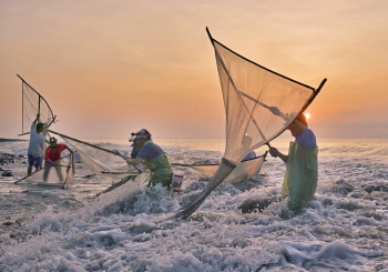 【太麻里鄉X金崙村】漫步桃花源，山海之間的感動