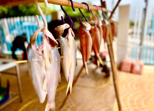 食在好屏小旅行(4人成行)-海味漁村x新龍社區xfun輕鬆方案｜...