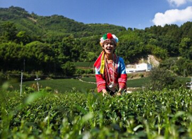 嘉義.鄒遊阿里山x森林巨木x藍色部落