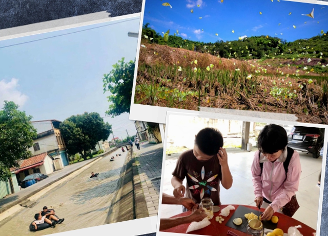 編號015：夏日好去處-農村消暑遊