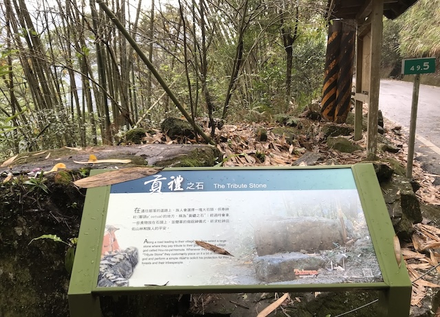 嘉義 阿里山 藍色部落里佳部落一日遊B方案