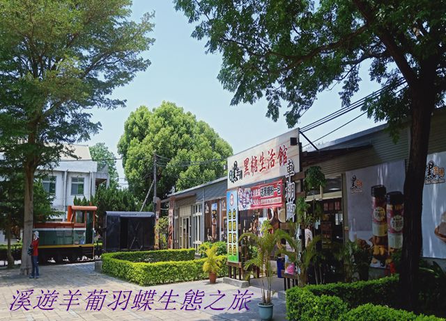 編號037-【彰化優質農村】溪遊羊葡羽蝶生態DIY之旅