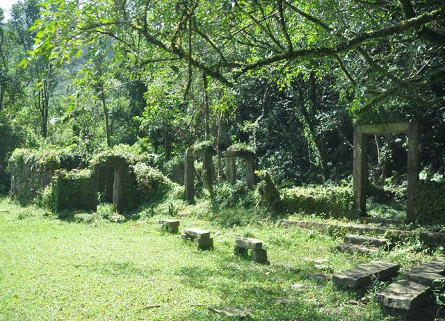 放電好所在：親子樂遊剛剛好！