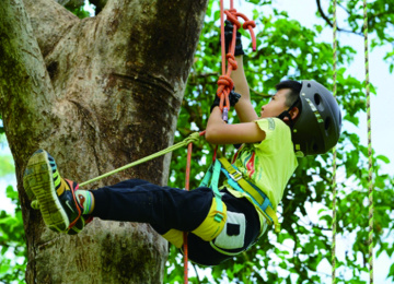 加購體驗活動-攀樹 (每人)