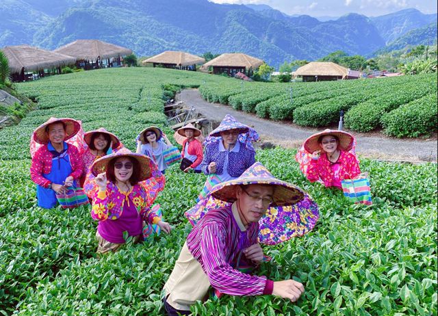 林園製茶-一日茶農Fun鬆遊