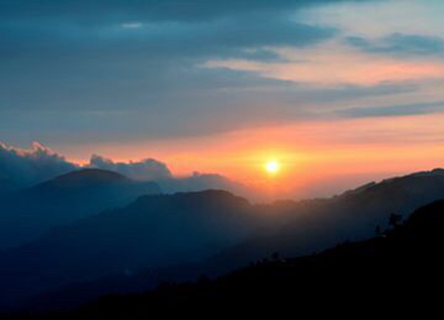 嘉義.精緻旅遊X阿里山曙光漫遊X霧中王者X偏愛旅行
