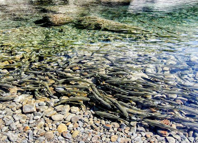 編號021：達娜伊谷忘憂小旅行